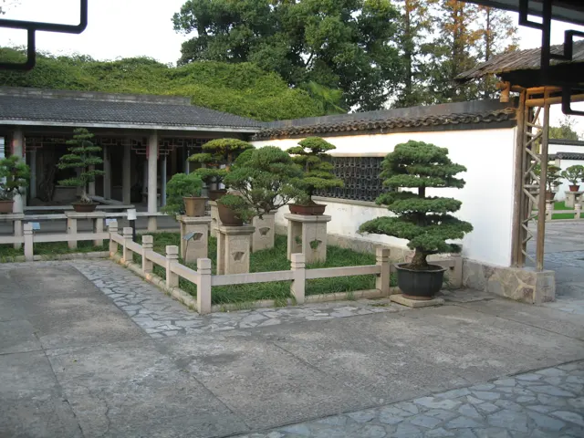 Potted trees and sculptural planting stand inside low stone railings beside a covered white-walled gallery.