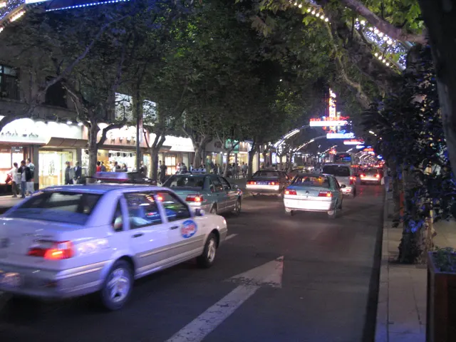 A pale car passes other vehicles beneath trees and festive street lighting after dark.