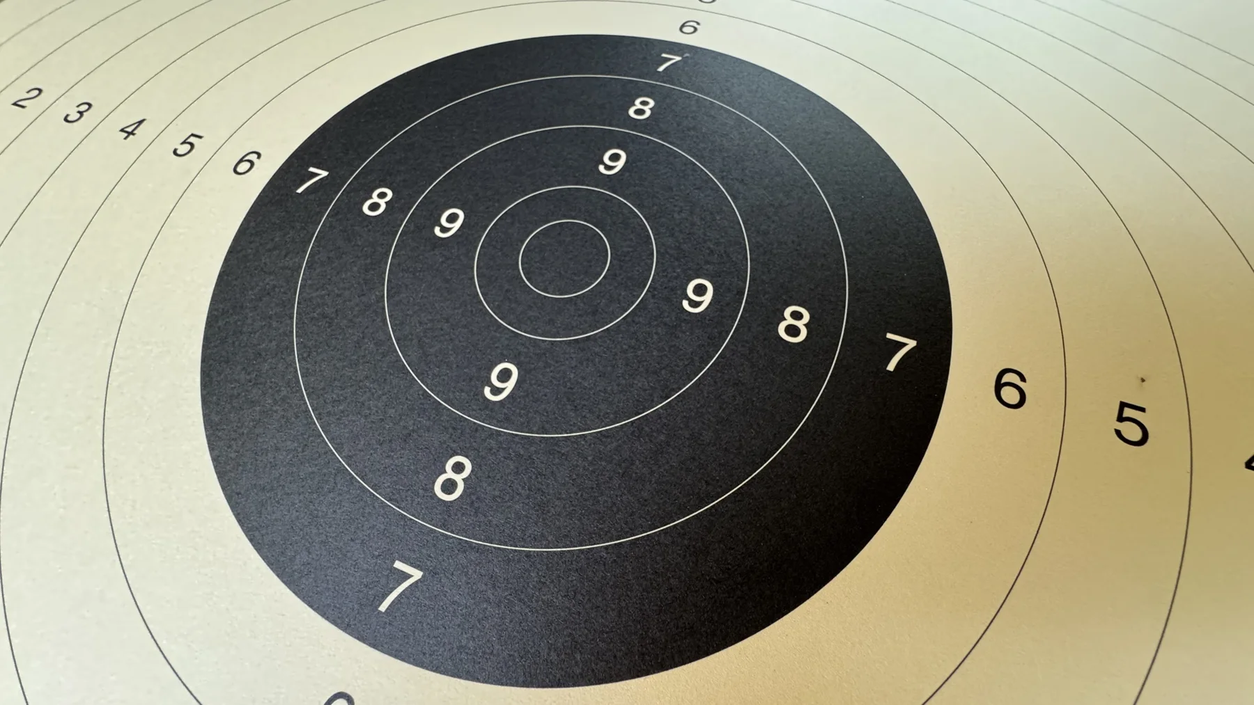 Fine concentric lines cross the black centre and pale outer area of a paper shooting target.