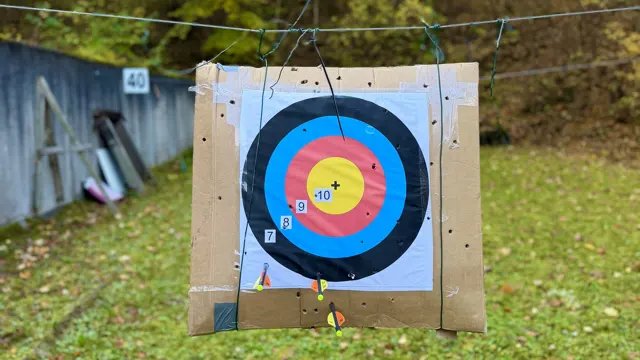A colourful archery target with yellow, red, blue and black rings hangs on a backing board above grass, with trees behind it.