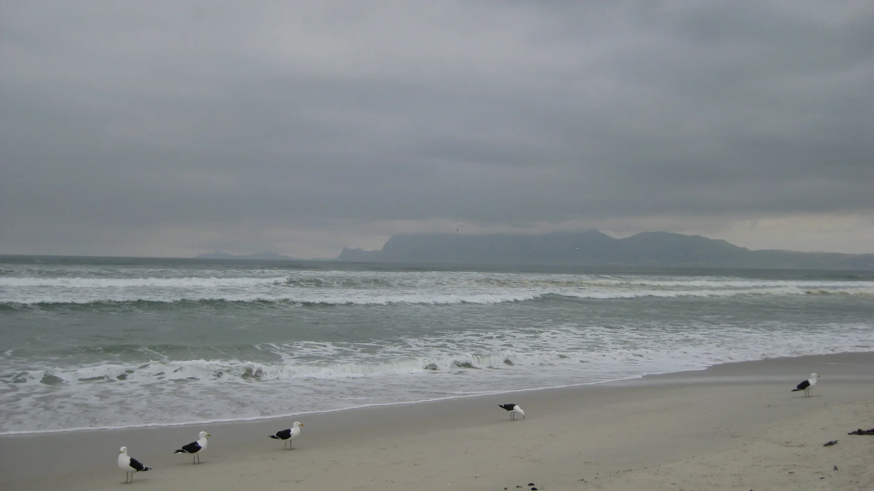 Gulls dot a pale beach beside rolling waves and distant mountains under a gray sky.