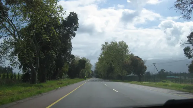 Tall trees border an open road beneath scattered clouds.