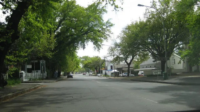 Leafy trees shade a street lined with low buildings.