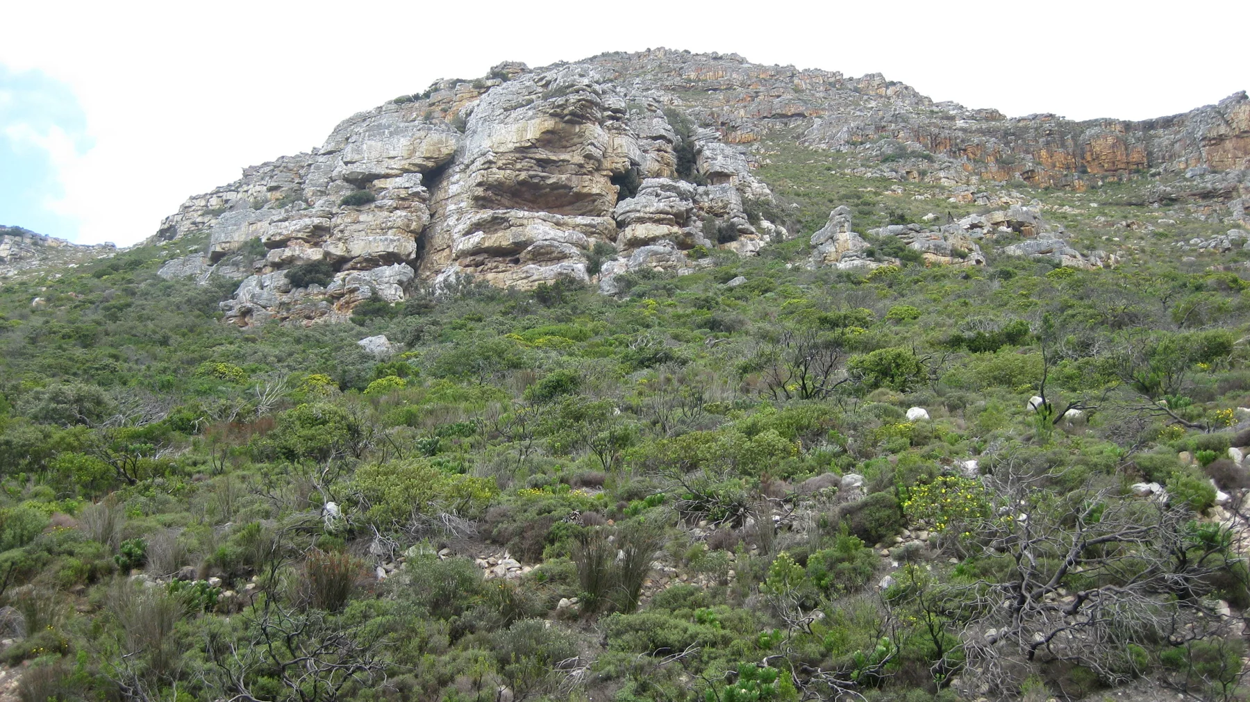Layered pale rocks emerge above a densely vegetated slope.
