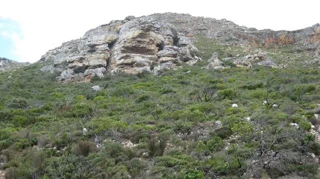 Layered pale rocks emerge above a densely vegetated slope.