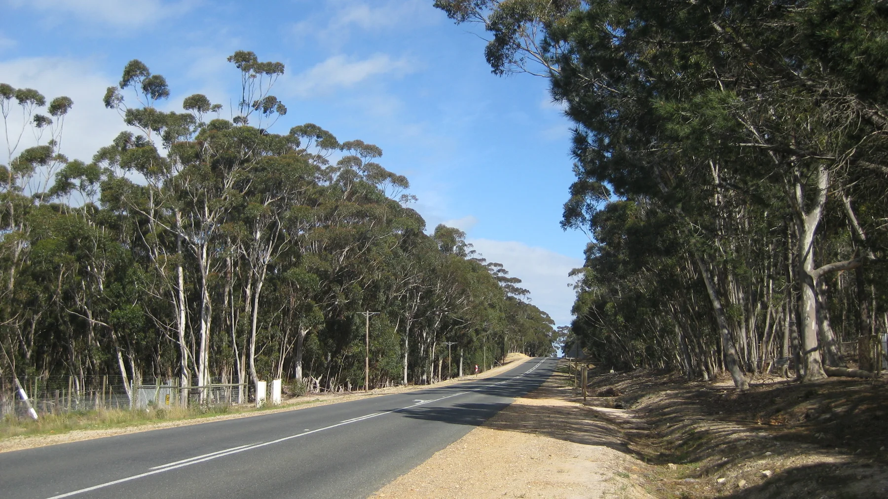 A straight road runs between tall trees and sandy verges.