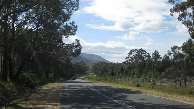 A tree-lined road passes through shade toward a mountain view.