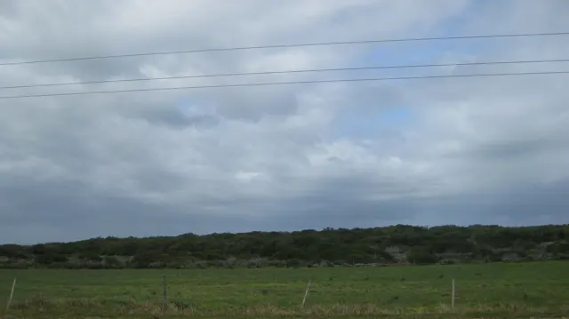 Power lines cross a cloudy sky above open green land.