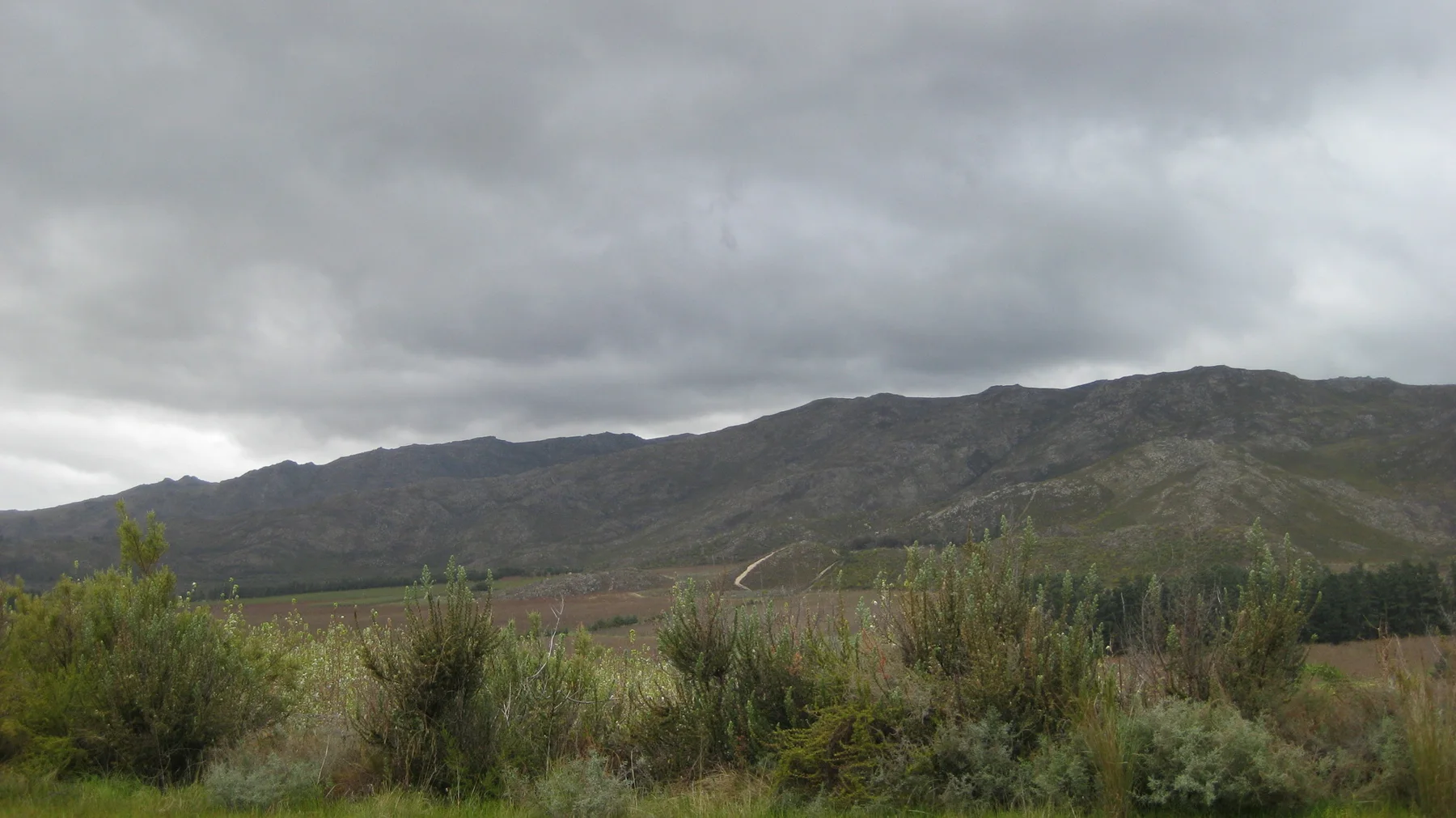 Tall reeds and shrubs stand below a long mountain ridge.