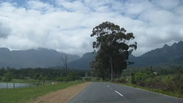 A large tree stands ahead beside a road beneath dark mountains.