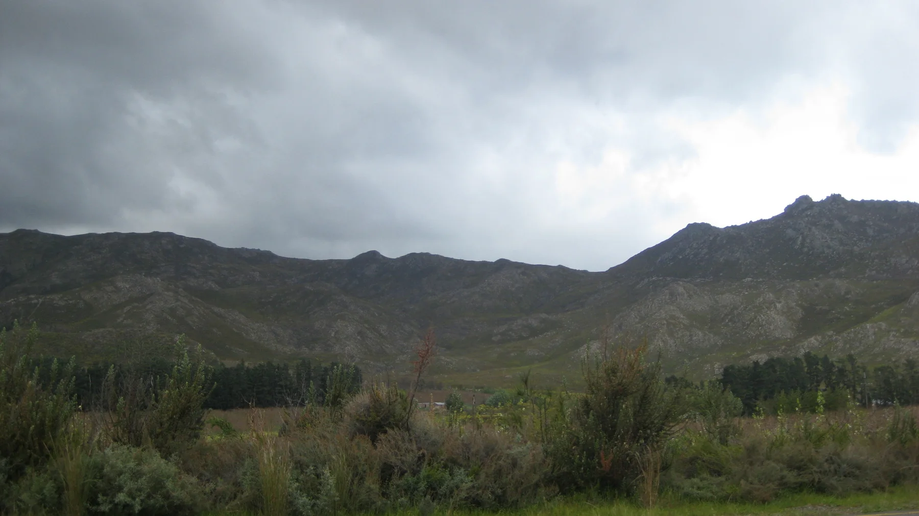 Reeds and shrubs fill the foreground below clouded mountain slopes.