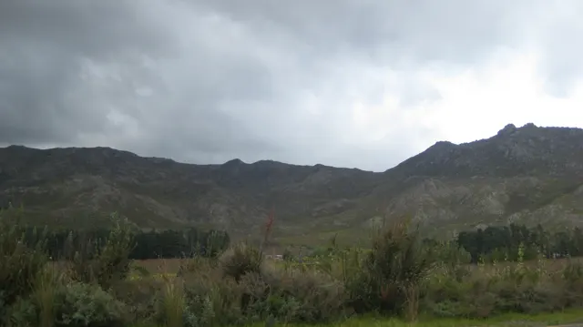 Reeds and shrubs fill the foreground below clouded mountain slopes.