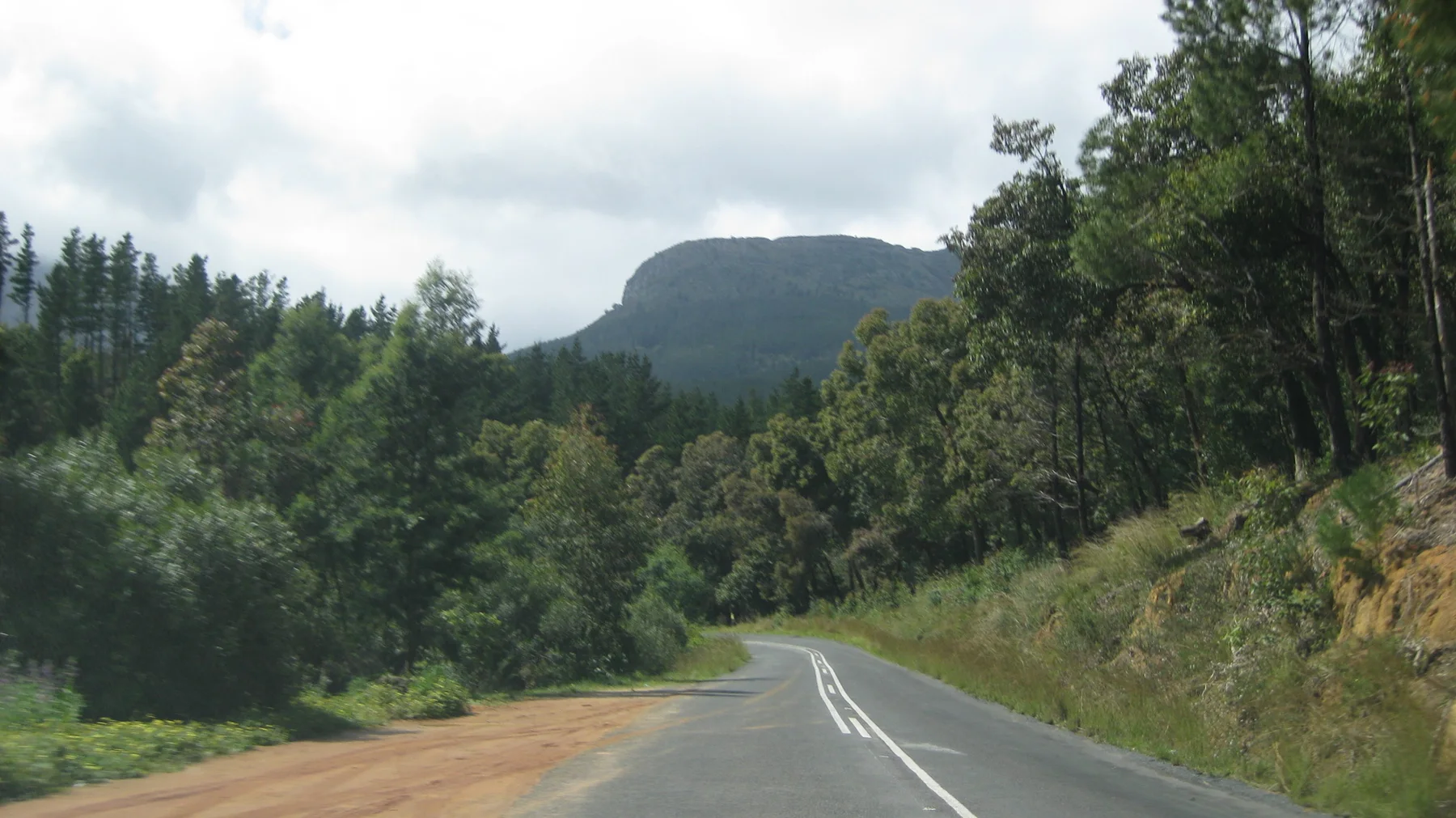 A paved road winds between dense trees toward a rounded mountain.
