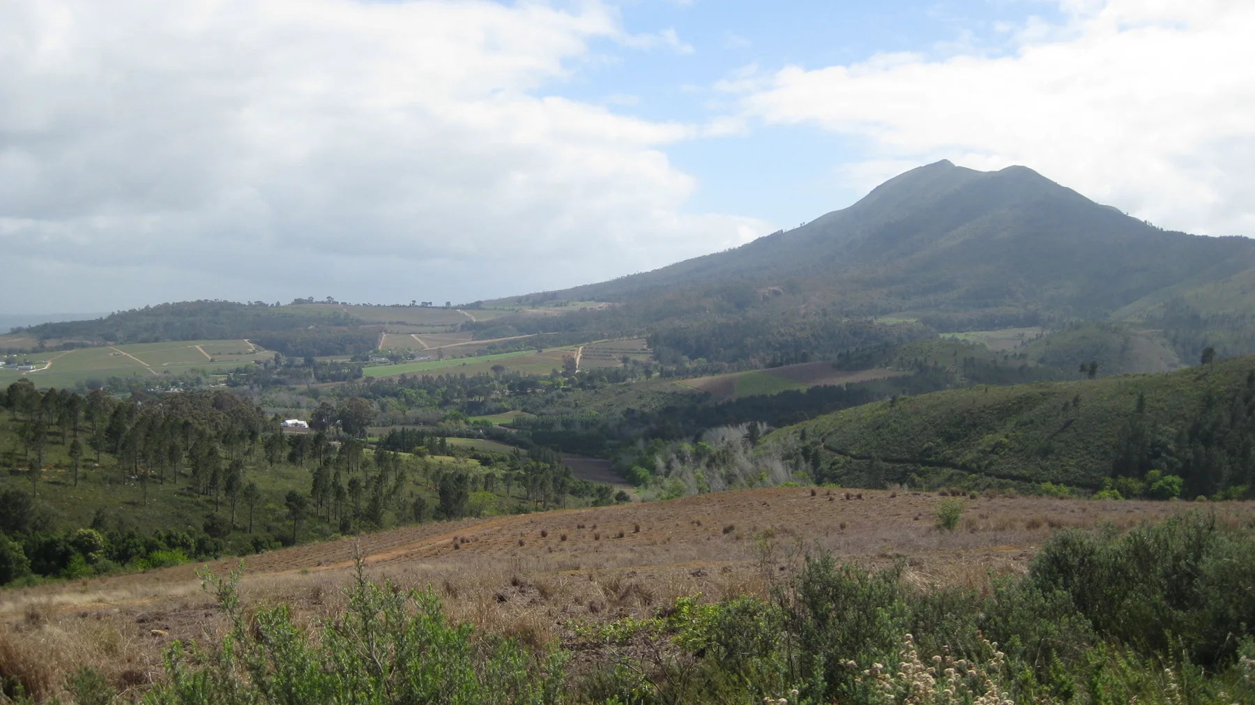 Cultivated fields and trees surround a pointed mountain in the distance.