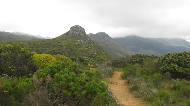 A sandy path winds through shrubs toward low rocky peaks.