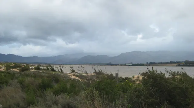 Low dunes and shrubs border broad water beneath gray clouds.