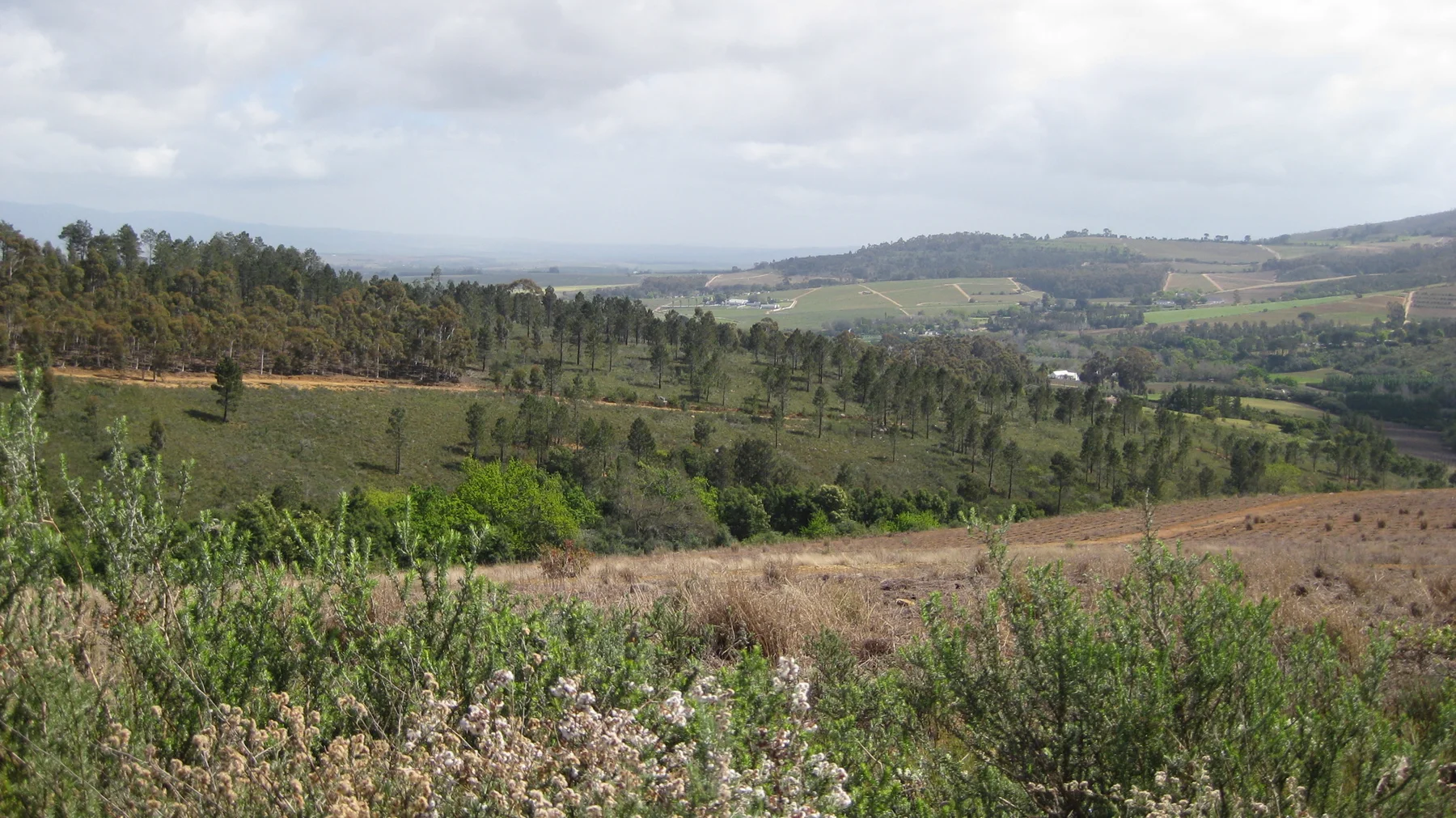 Fields and trees fill a broad valley below distant slopes.