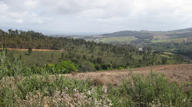 Fields and trees fill a broad valley below distant slopes.