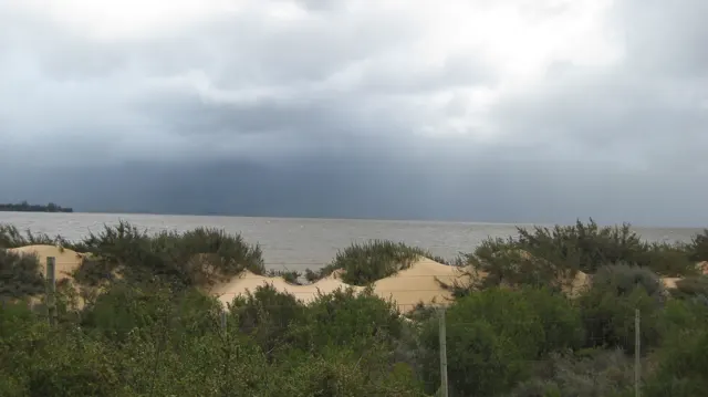 Pale dunes and coastal shrubs meet water beneath dark cloud.