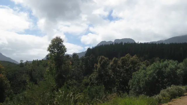 Dense trees fill a hollow below mountain slopes and bright clouds.