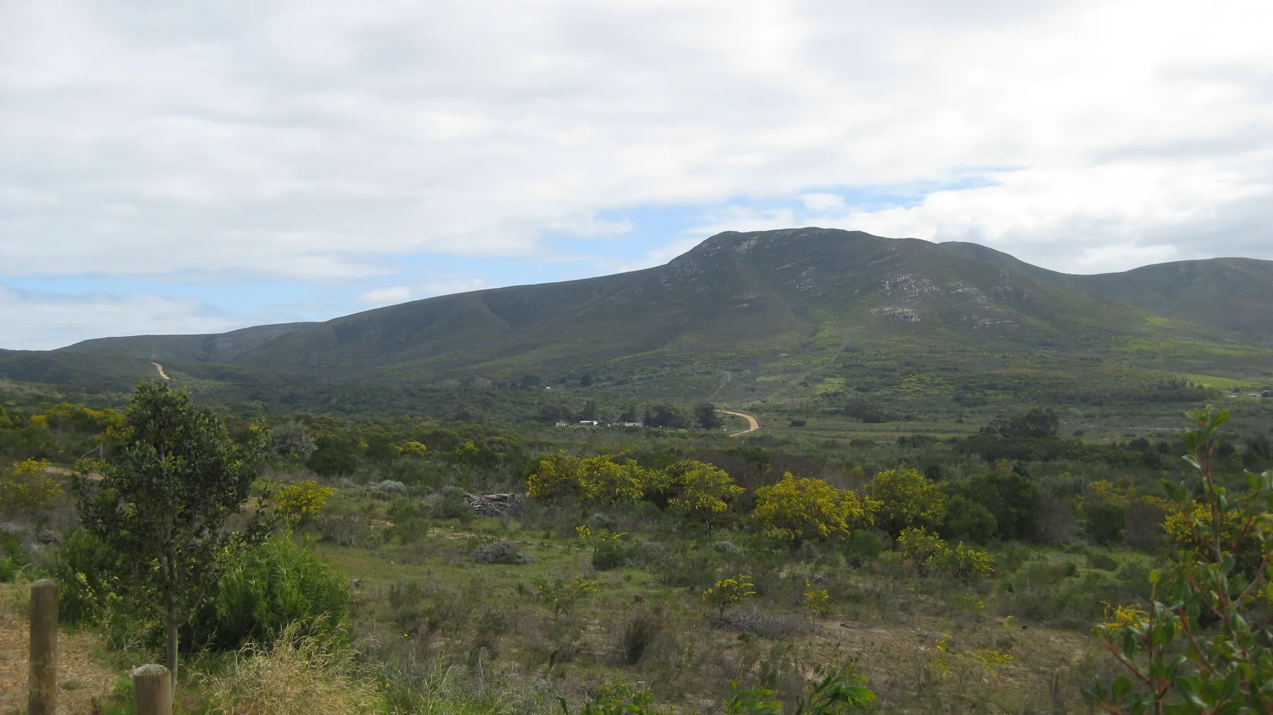 A broad ridge rises beyond low green scrub and scattered trees.