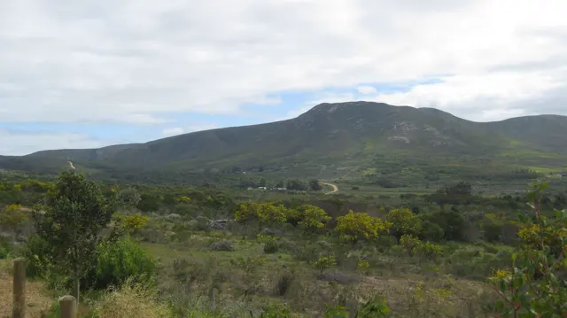 A broad ridge rises beyond low green scrub and scattered trees.