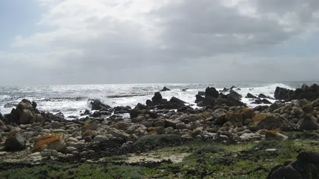 White waves break around dark rocks along a rugged shore.