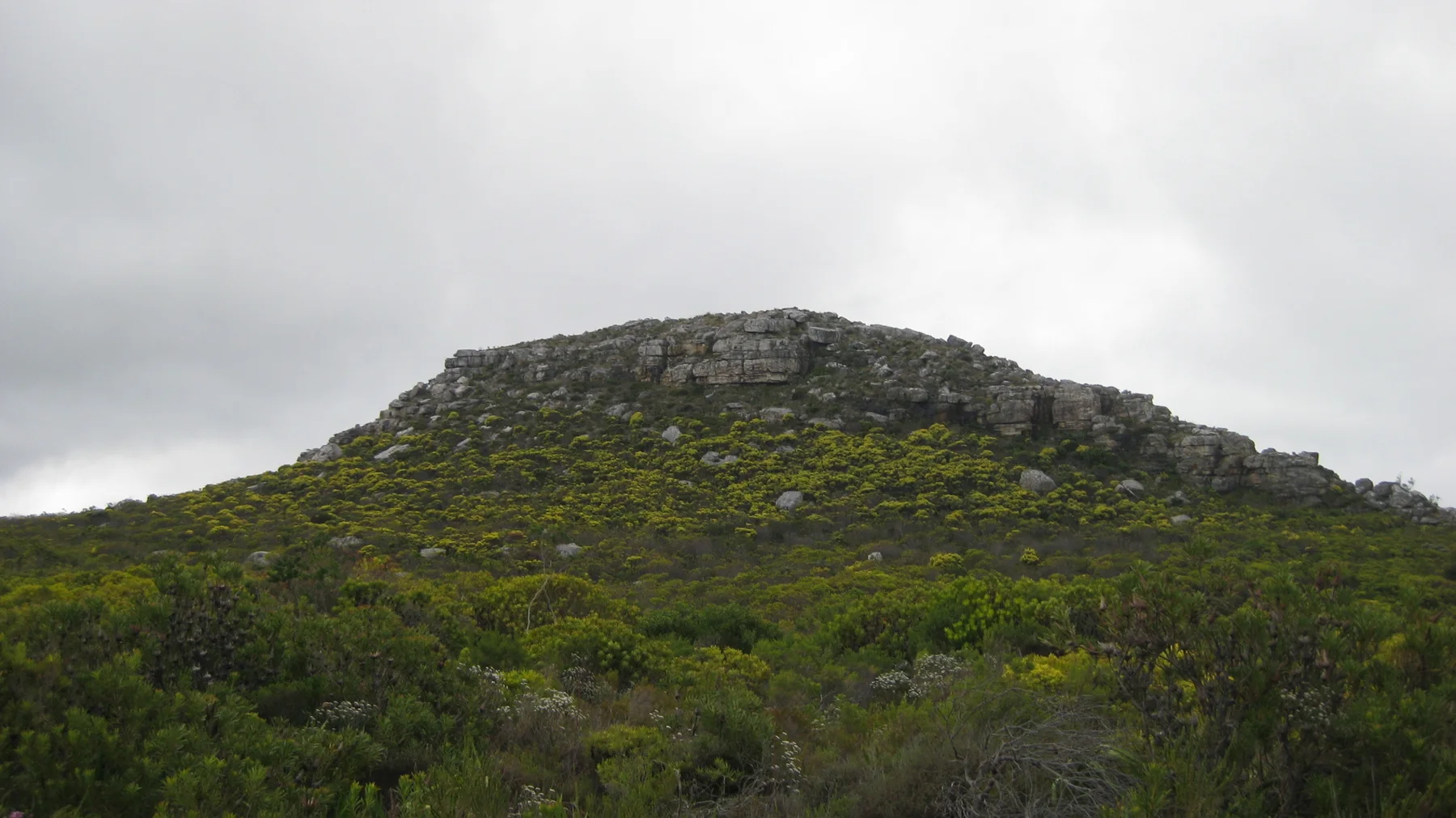 A low rocky crown tops a densely green hillside.