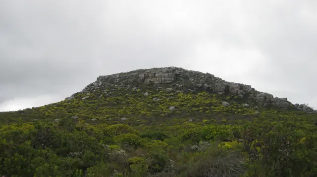 A low rocky crown tops a densely green hillside.