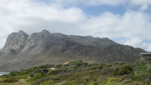 A rugged mountain face stretches beyond low coastal vegetation.