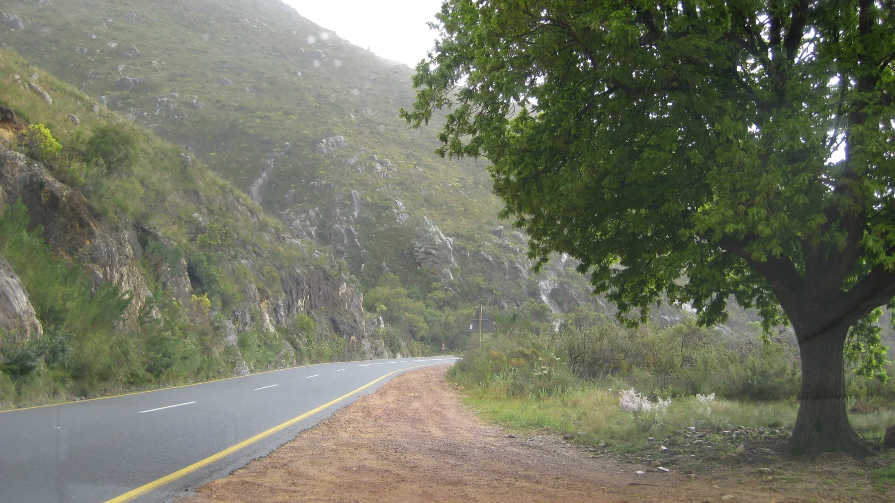 A tree shades a sandy verge beside a winding mountain road.