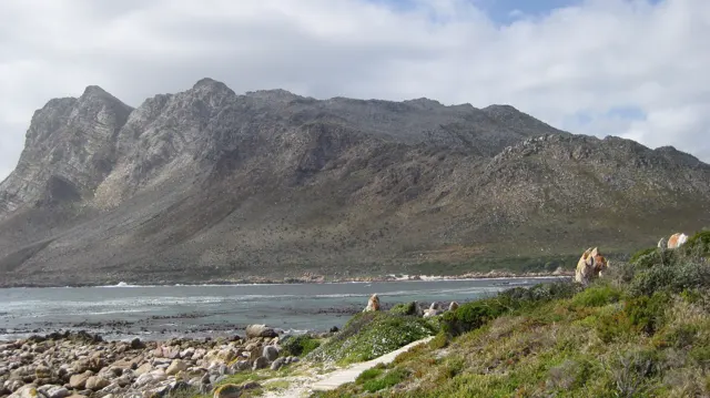 A long rocky mountain rises across water beyond a stony shoreline.