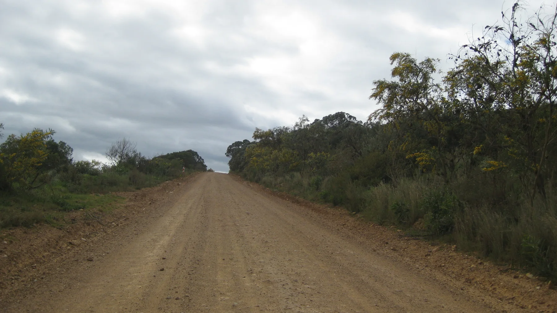 A wide dirt road runs between shrubs beneath gray cloud.