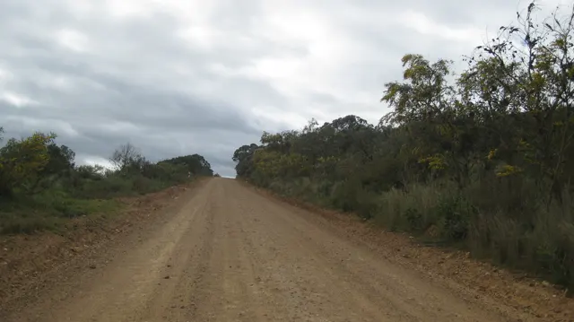 A wide dirt road runs between shrubs beneath gray cloud.