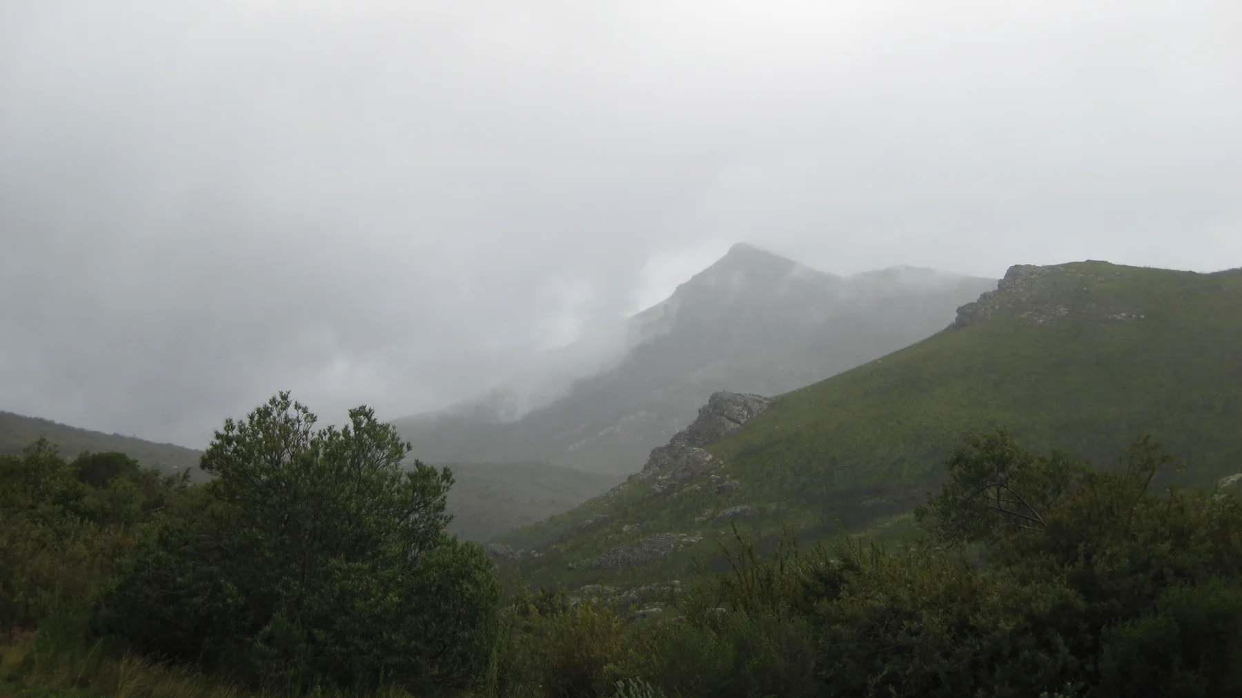 Mountain peaks emerge faintly through thick mist above dark vegetation.