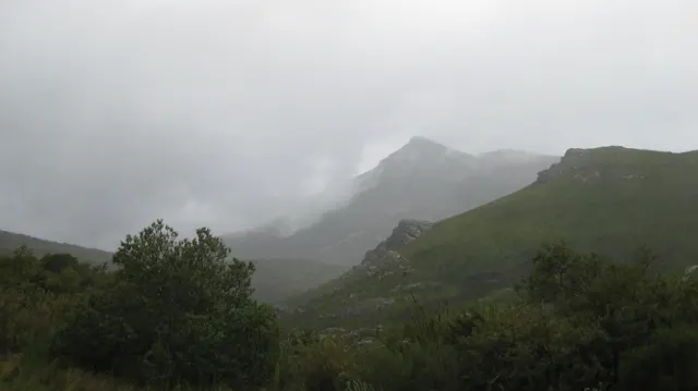 Mountain peaks emerge faintly through thick mist above dark vegetation.