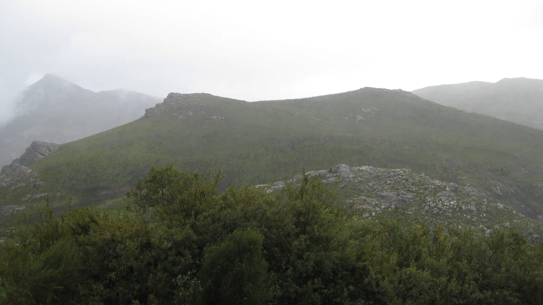 Low cloud brushes a broad mountain shoulder above leafy trees.