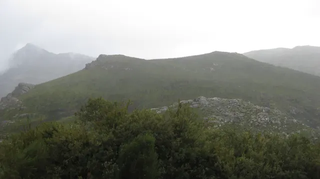 Low cloud brushes a broad mountain shoulder above leafy trees.