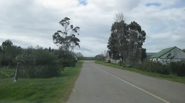 A quiet lane runs beside grass, trees and a pale roadside building.