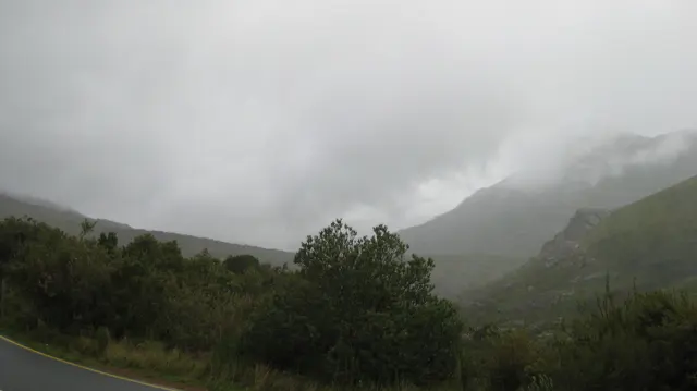 Low cloud fills a valley above dense roadside shrubs.