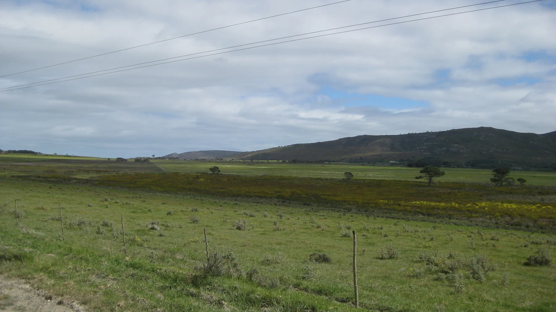 Flat green fields spread toward low hills beneath streaked clouds.