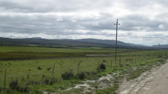 A utility pole stands beside fenced green fields and a gravel verge.