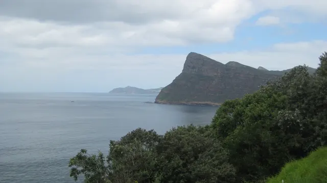 Calm water curves toward a steep dark headland beyond foreground shrubs.