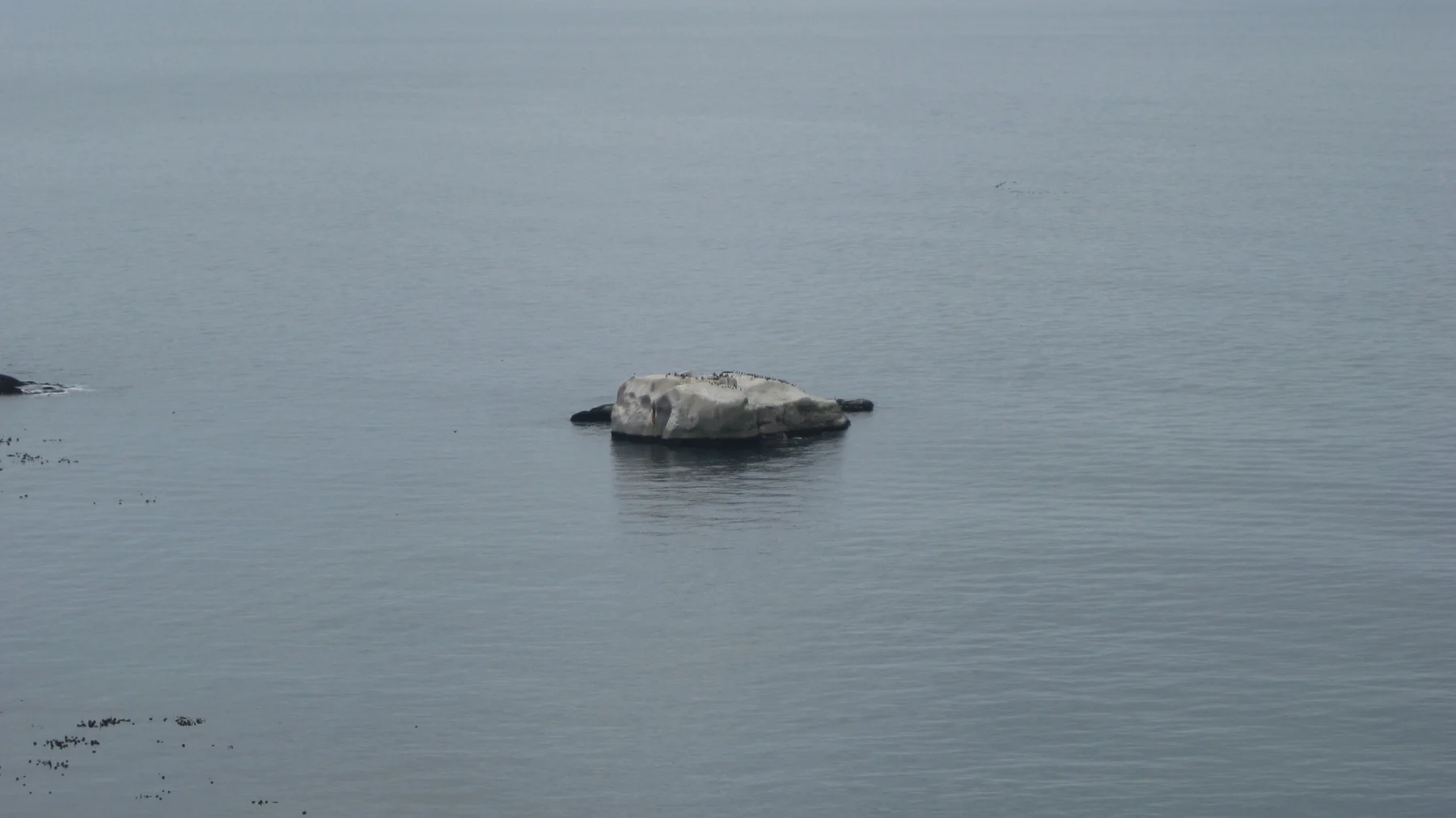 A single pale rock breaks the surface of calm gray water.