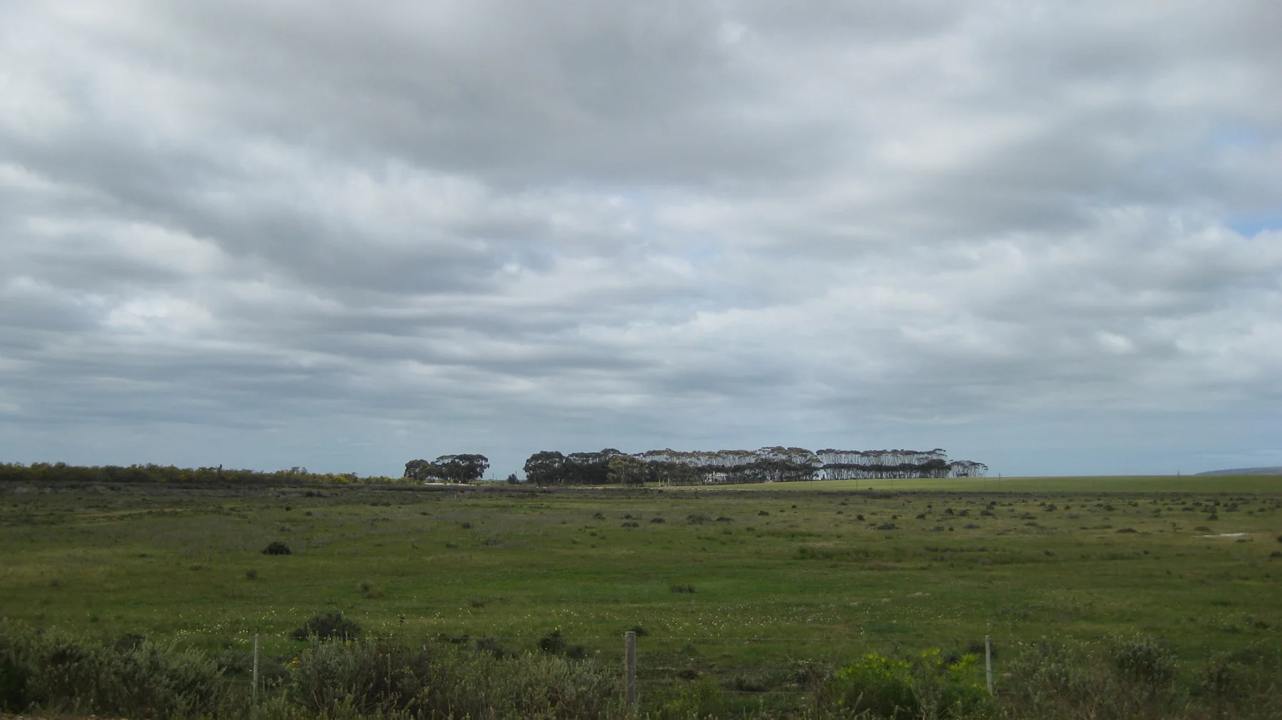 Flat fields stretch toward distant trees beneath a broad gray sky.