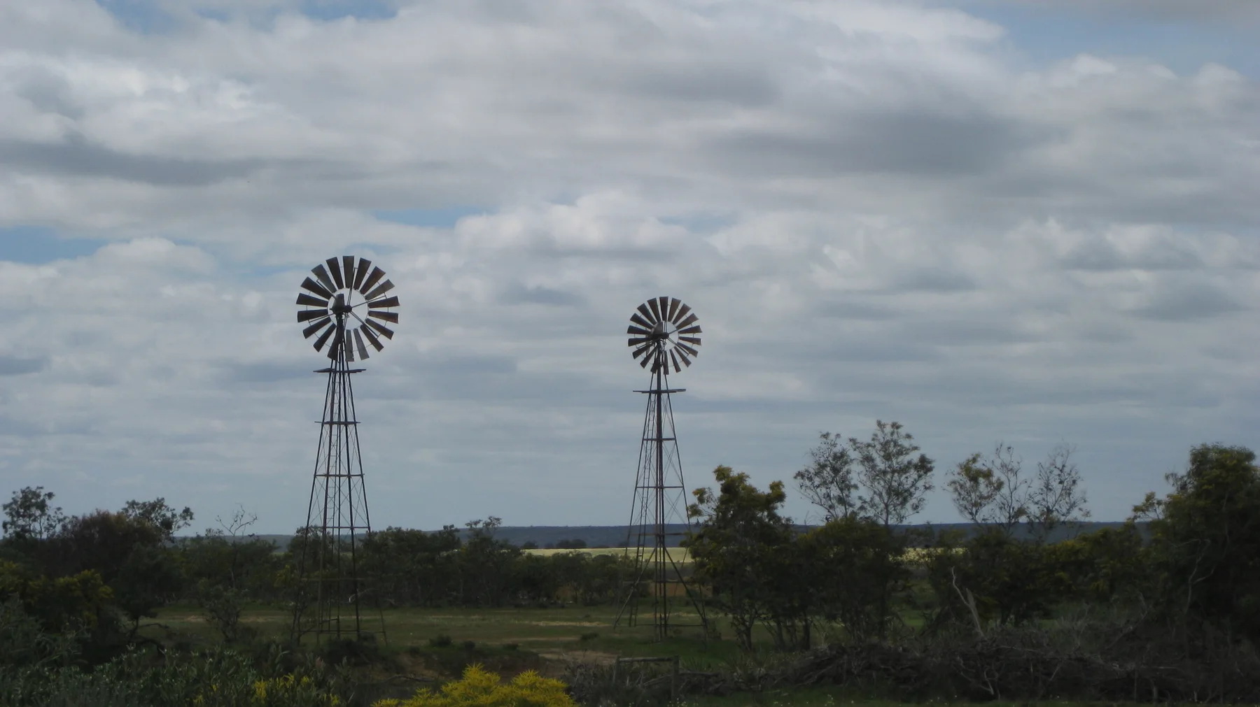 Two slender windpumps stand above low vegetation beneath gray clouds.