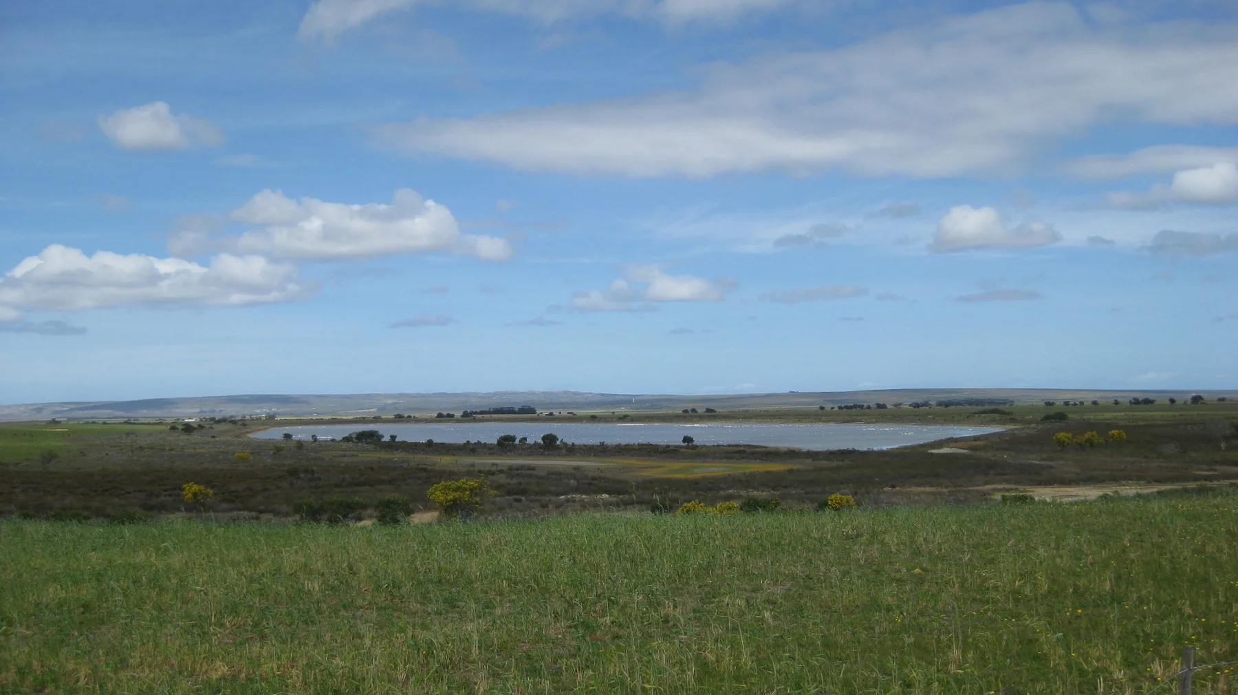 A broad meadow leads toward water under a blue, cloud-dotted sky.