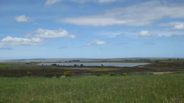 A broad meadow leads toward water under a blue, cloud-dotted sky.