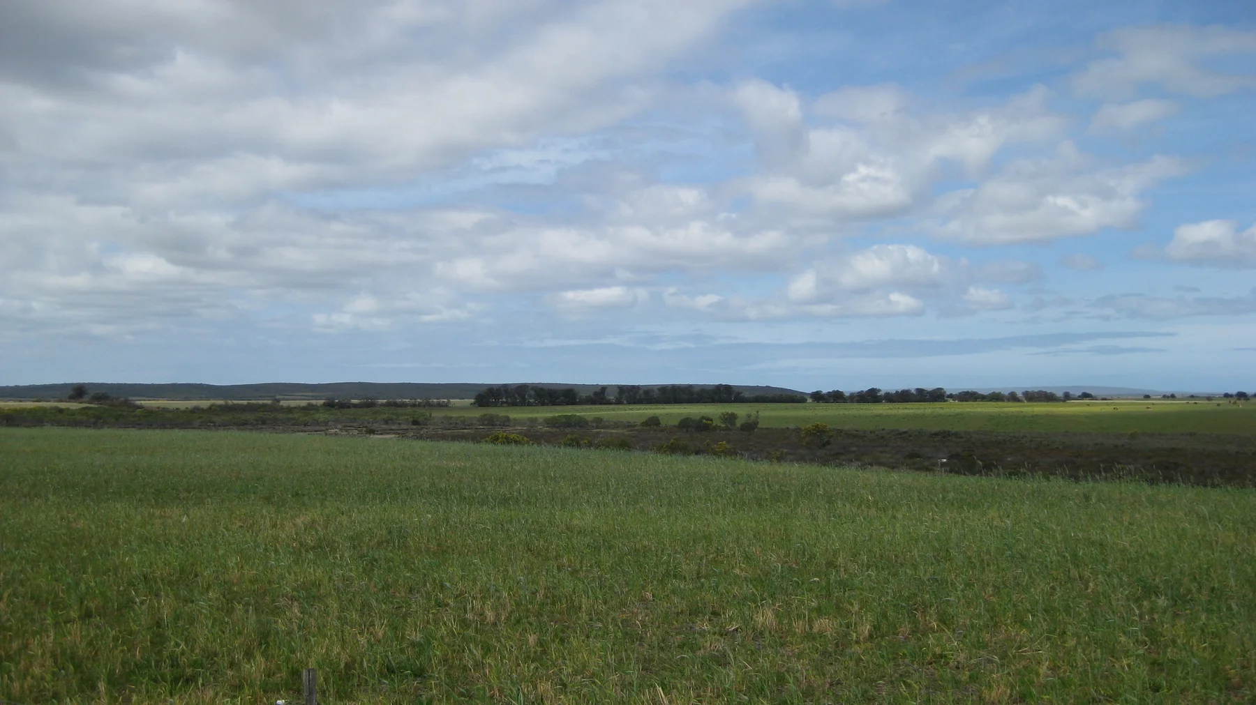 A green field stretches toward a low distant horizon under scattered clouds.