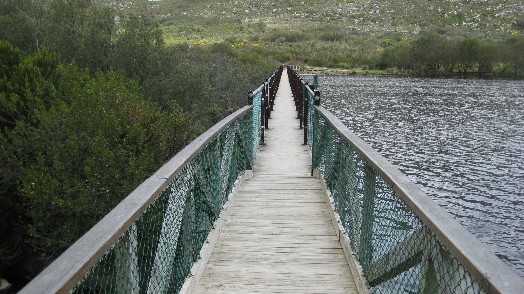 A straight wooden footbridge runs between water and dense vegetation.